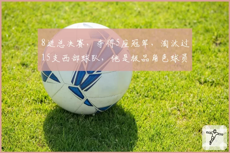 8进总决赛，夺得5座冠军，淘汰过15支西部球队，他是极品角色球员