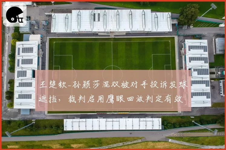 王楚钦_孙颖莎混双被对手投诉发球遮挡，裁判启用鹰眼回放判定有效