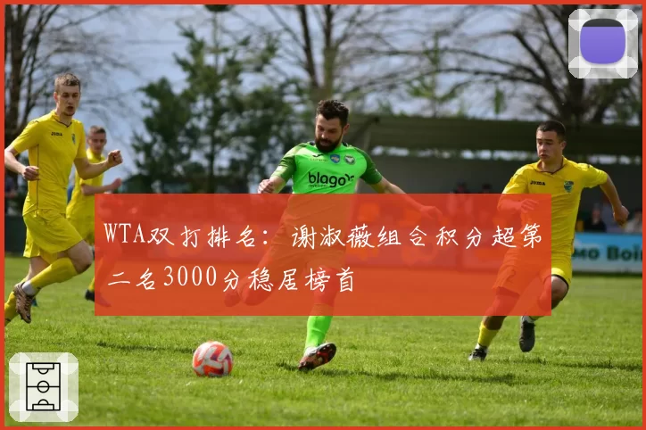 WTA双打排名:谢淑薇组合积分超第二名3000分稳居榜首