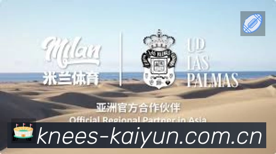 开云 精彩赛事