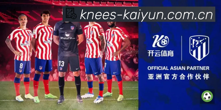 体育平台欢迎图